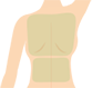 背中