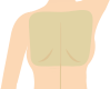 背中上